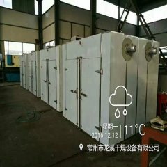 江苏龙溪干燥制生产静态节能型热风烘箱  热风循环烘箱    GMP烘箱的图片