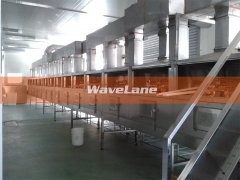 连续式微波干果干燥灭菌设备的图片