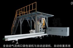 全自动阀口包装机的图片