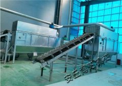 化学粉自动拆袋站、促进剂无尘自动破袋机的图片