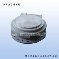 压力真空释放泵的图片