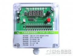 12路脉冲控制仪(在线)的图片