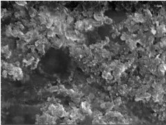 氮化硼纳米片(NS-BN)的图片