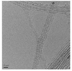 单壁碳纳米管NTP8012的图片