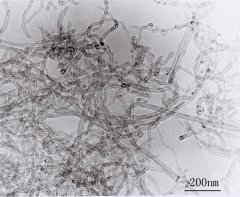 多壁碳纳米管L-MWNT-1020的图片