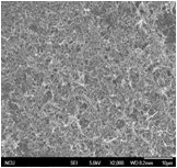 导热晶须碳纳米管 WhiskerCNT-E的图片