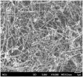 电热转换晶须碳纳米管 WhiskerCNT-D的图片
