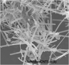 高纯高结晶度晶须碳纳米管 WhiskerCNT-G的图片