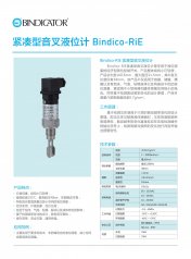 紧凑型音叉液位开关的图片