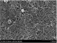 碳纳米管导电浆料40H的图片