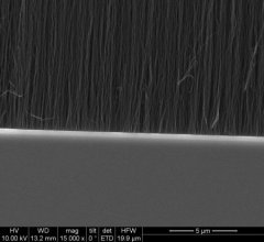 碳纳米管粉末（CNTs）的图片