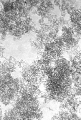 超高纯纳米氧化铝的图片
