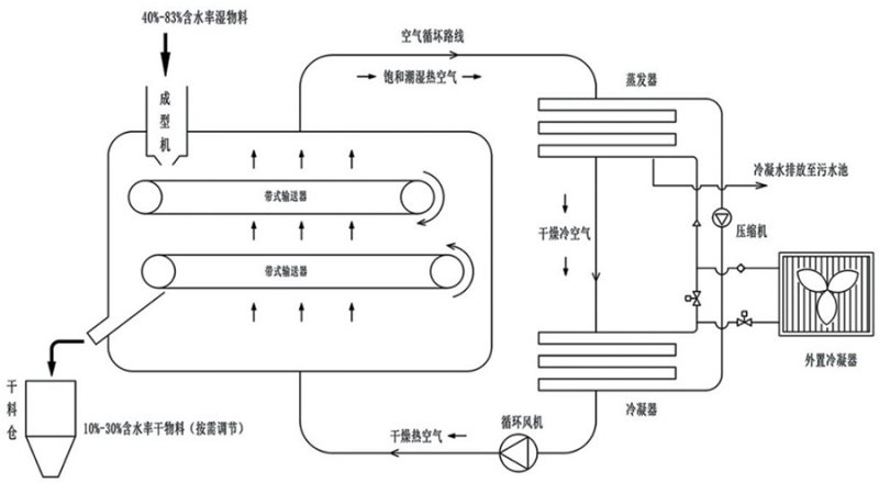 森贝尔