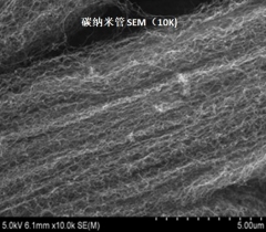 碳纳米管粉体的图片