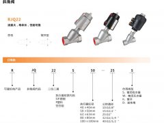 斜角阀的图片