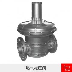 燃气减压阀的图片