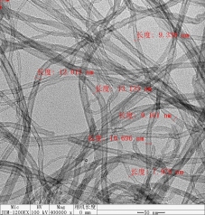 CR5000系列碳纳米管的图片