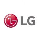 韩国LG将在印尼建设正极材料工厂