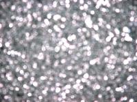 金属钛粉 titanium metal powder 的图片