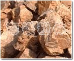 钾、钠长石系列的图片