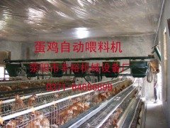 蛋鸡自动喂料机的图片