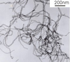 羟基化短碳纳米管的图片