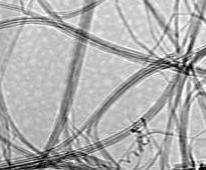 SWCNTs, 纯度+90%的图片