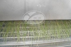 茄子片脱水蔬菜烘干机的图片