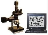 数码摄影金相显微镜的图片