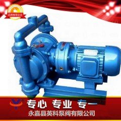 XDBY电动隔膜泵的图片