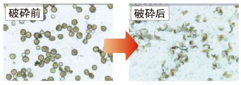 125932_482394_procont.png