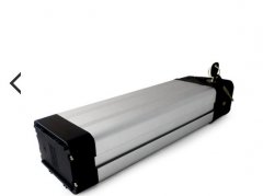 银鱼电池的图片