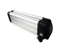 银鱼电池的图片