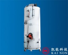 ZYS型立式针形管组合锅炉的图片