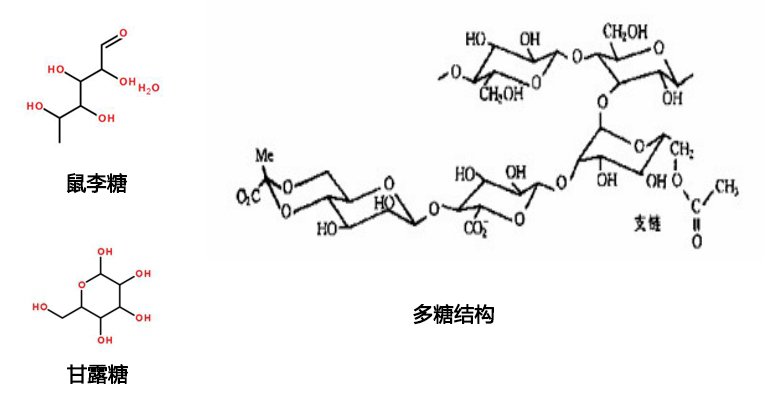 155859_082707_procont.jpg 产品分子链.jpg