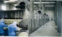 DWC系列脱水蔬菜带式干燥机的图片