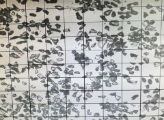 绿碳化硅微粉 6000#颗粒形状的图片