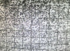 绿碳化硅微粉 8000#颗粒形状的图片