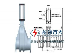 气力输送进料阀的图片