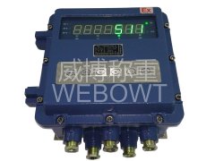 ID511隔爆防爆重仪表的图片