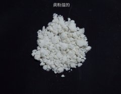 湿的黄粉的图片