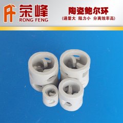 陶瓷鲍尔环填料 喷淋塔鲍尔环陶瓷填料 瓷质鲍尔环填料的图片