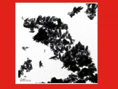 超细活性碳酸钙YX-505的图片