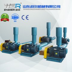 WSR-175罗茨风机的图片