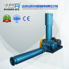 WSR-50罗茨鼓风机的图片
