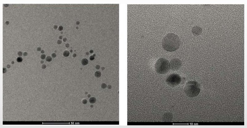 纳米银离子电镜图 纳米银离子电镜图