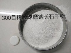 名称：300目钠长石粉的图片