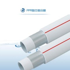 稳态复合管（dn20-dn63）的图片