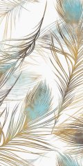 孔雀翎羽 Peacock Feathers的图片
