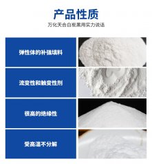 沉淀法二氧化硅TH-620的图片
